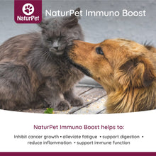 Load image into Gallery viewer, NATURPET IMMUNO BOOST 100ML