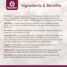 Load image into Gallery viewer, NATURPET IMMUNO BOOST 100ML