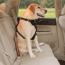 Load image into Gallery viewer, KURGO DIRECT TO SEATBELT TETHER