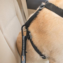 Load image into Gallery viewer, KURGO DIRECT TO SEATBELT TETHER