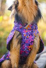 Load image into Gallery viewer, POMPPA TOPPAPOMPPA COAT 25CM