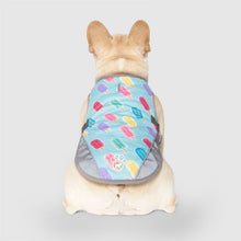 Load image into Gallery viewer, CANADA POOCH CHILL SEEKER VEST POPSICLE SIZE 22