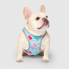 Load image into Gallery viewer, CANADA POOCH CHILL SEEKER VEST POPSICLE SIZE 22