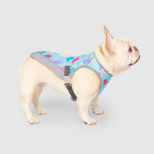 Load image into Gallery viewer, CANADA POOCH CHILL SEEKER VEST POPSICLE SIZE 16