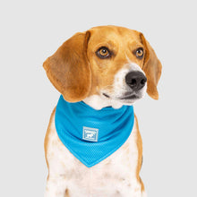 Load image into Gallery viewer, CANADA POOCH CHILL SEEKER BANDANA BLUE LARGE