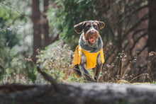 Load image into Gallery viewer, POMPPA TOPPAPOMPPA COAT 25CM