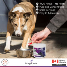 Load image into Gallery viewer, TRI-ACTA DOG/CAT JOINT FORMULA REGULAR STRENGTH 300G