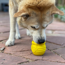 Load image into Gallery viewer, SODAPUP HONEY POT YELLOW LARGE
