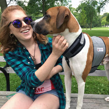 Load image into Gallery viewer, COOLER DOG COOLING VEST+COLLAR GREY MEDIUM