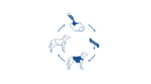 Load image into Gallery viewer, GF PET ELASTOFIT ICE VEST XSM