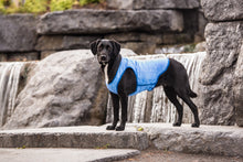 Load image into Gallery viewer, GF PET ELASTOFIT ICE VEST XSM
