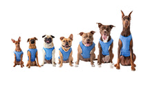 Load image into Gallery viewer, GF PET ELASTOFIT ICE VEST XSM