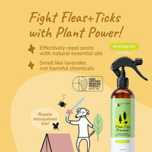 Load image into Gallery viewer, KIN + KIND OUTDOOR SHIELD SPRAY LEMONGRASS 12OZ