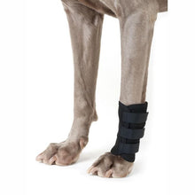 Load image into Gallery viewer, BACK ON TRACK DOG LEG WRAP 18X14 VELCRO
