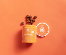 Load image into Gallery viewer, OPEN FARM PROBIOTIC CHEWS - 90 CHEWS

