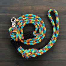 Load image into Gallery viewer, WD LEASH QUICK CLIP APRES 5'
