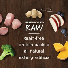 Load image into Gallery viewer, NATURES VARIETY FREEZE DRIED RAW BOOST MIXER CHIC DOG 170G
