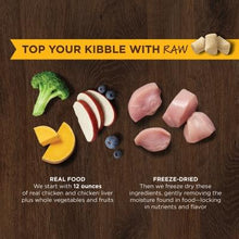 Load image into Gallery viewer, NATURES VARIETY FREEZE DRIED RAW BOOST MIXER CHIC DOG 170G
