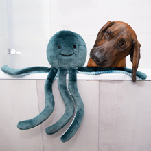 Load image into Gallery viewer, FLUFF &amp; TUFF STEVIE OCTOPUS 21"
