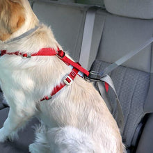 Load image into Gallery viewer, KURGO TRU-FIT SMART HARNESS ENHANCE XL
