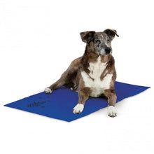 Load image into Gallery viewer, K&amp;H COOLIN PET PAD BLUE 20X36 LG
