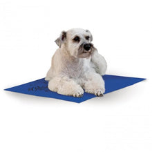 Load image into Gallery viewer, K&amp;H COOLIN PET PAD BLUE 20X36 LG
