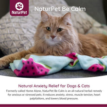Load image into Gallery viewer, NATURPET BE CALM 100ML
