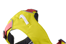 Load image into Gallery viewer, RUFFWEAR FLAGLINE HARNESS XXSM
