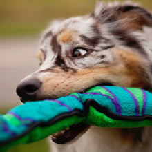 Load image into Gallery viewer, OUTWARD HOUND INVINCIBLES SNAKE 6 SQUEAKERS BLUE/GREEN
