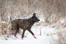 Load image into Gallery viewer, PAWSH PADS BOOTS TINY
