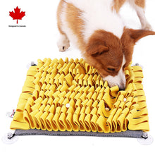 Load image into Gallery viewer, PAWZNDOGZ ANTI-BITE SNUFFLE MAT YELLOW LARGE

