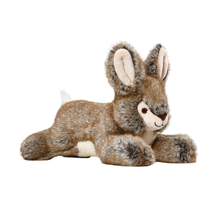 Load image into Gallery viewer, FLUFF &amp; TUFF REESE RABBIT 11"
