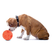 Load image into Gallery viewer, OMEGA PAW TRICKY TREAT BALL SM

