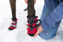 Load image into Gallery viewer, PAWSH PADS BOOTS TRIPLE EXTRA SMALL
