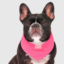 Load image into Gallery viewer, CANADA POOCH CHILL SEEKER BANDANA PINK LARGE
