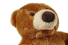 Load image into Gallery viewer, FLUFF &amp; TUFF CUBBY BEAR 5"
