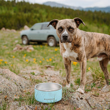 Load image into Gallery viewer, WILDERDOG DOG BOWL STAINLESS STEEL MUSTARD 32OZ
