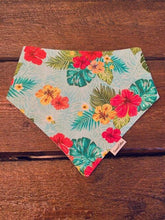 Load image into Gallery viewer, COCONUT COLLARS BANDANA XLG
