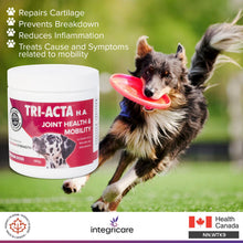 Load image into Gallery viewer, TRI-ACTA H.A DOG/CAT JOINT FORMULA MAXIMUM STRENGTH 140G
