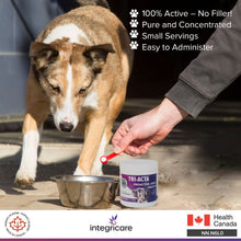 Load image into Gallery viewer, TRI-ACTA DOG/CAT JOINT FORMULA REGULAR STRENGTH 140G
