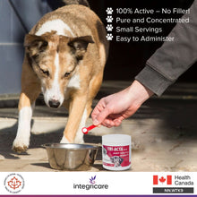 Load image into Gallery viewer, TRI-ACTA H.A DOG/CAT JOINT FORMULA MAXIMUM STRENGTH 140G
