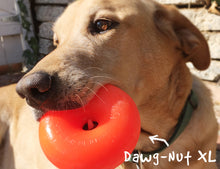 Load image into Gallery viewer, RUFF DAWG DAWG-NUT ASSORTED COLOURS 4.5"

