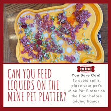 Load image into Gallery viewer, MINE PET PLATTER BONE SM
