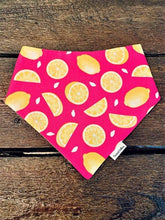 Load image into Gallery viewer, COCONUT COLLARS BANDANA LG
