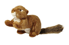 Load image into Gallery viewer, FLUFF &amp; TUFF RED SQUIRREL NO SQUEAK 12"
