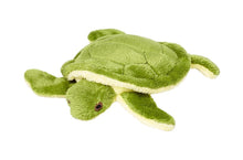 Load image into Gallery viewer, FLUFF &amp; TUFF SHELLY TURTLE 4"
