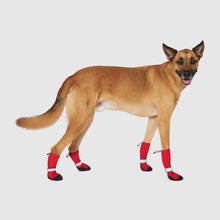 Load image into Gallery viewer, CANADA POOCH SOFT SHIELD BOOTS RED SIZE 6
