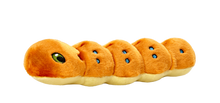 Load image into Gallery viewer, FLUFF &amp; TUFF SPICY CATERPILLAR 11"
