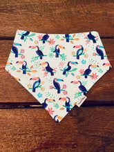 Load image into Gallery viewer, COCONUT COLLARS BANDANA SM
