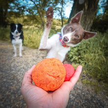 Load image into Gallery viewer, WUNDERBALL DOG BALL MEDIUM
